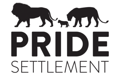 Welcome back to the Pride Settlement blog!